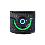 Bocina 2x12" 100W Sankey - 3-8.png