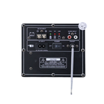 Bocina 12x2 Sankey 100W - 3-9.png
