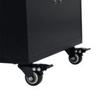 Bocina 10x2" 80W Sankey - 4-1.png
