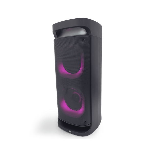 Bocina Sankey 8" Karaoke USB - 4-2.png