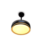 Ventilador de Techo CM3623 Sankey C/C - 49-4.png