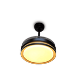 Ventilador de Techo CM3623 Sankey C/C