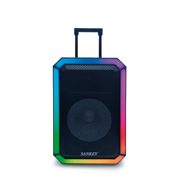 Bocina SANKEY 15" 30,000W - 5-2.png