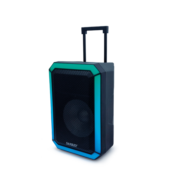 Bocina SANKEY 15" 30,000W - 5_-1.png