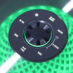 Bocina 10x2" 60W Sankey - 5.png