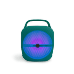 Bocina SANKEY PA8DCX2 8" Recargable USB - 5.png