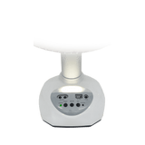 Ventilador 12" VR012 Recargable Universal Royal