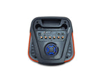 Bocina bluetooth de 10" x 2 SANKEY - PA-10DCC53M-3.jpg