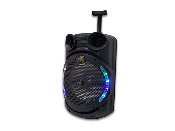 Bocina bluetooth con ruedas 12" SANKEY - PA-12DC2DTM-3.jpg