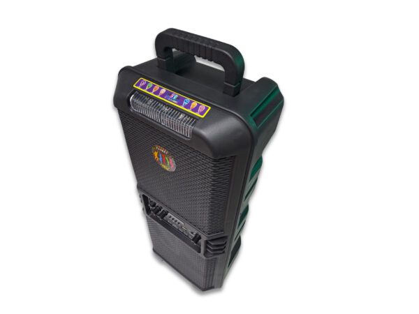 Bocina bluetooth portátil de 8" × 2 SANKEY - PA-8DC32C-2-600x450-1.jpg