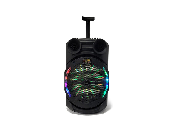 Bocina bluetooth con ruedas 12" SANKEY - PA12DC2DTM.jpg