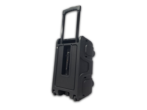 Bocina 12¨ C/Blu/Usb L/Led Fm 40w SANKEY - PA12DC3DTM-3.jpg