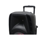 Sankey Equipo de Sonido | 180W | Karaoke | Luces LED | Bluetooth | Amplificador