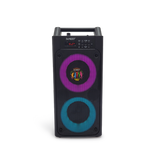 Bocina Sankey 4X2 BT/USB/Karaoke