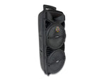 Bocina súper woofer 8” x 2 SANKEY - PA8DCD15A-4.jpg